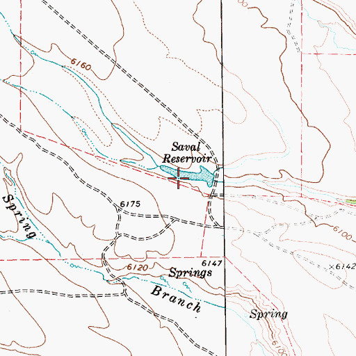 Topographic Map of Saval Reservoir, NV