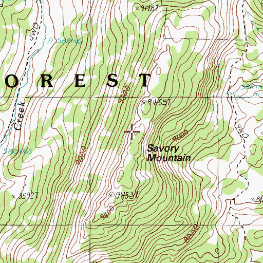 Topographic Map of Savory Mountain, NV