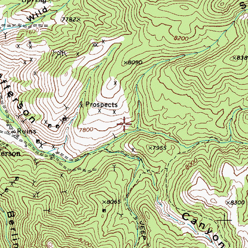 Topographic Map of Sawmill Canyon, NV