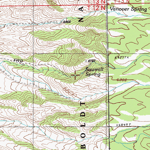 Topographic Map of Sawmill Spring, NV