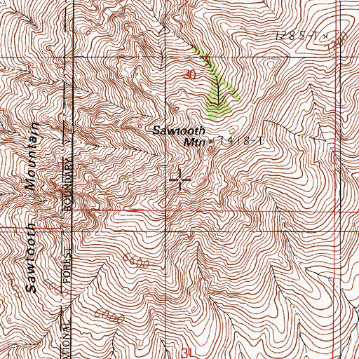 Topographic Map of Sawtooth Mountain, NV
