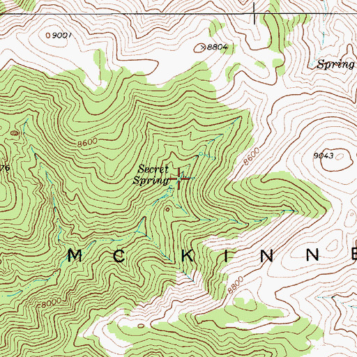 Topographic Map of Secret Spring, NV