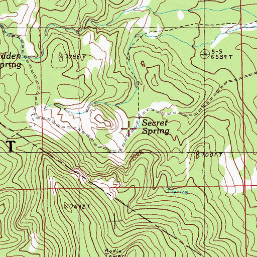 Topographic Map of Secret Spring, NV