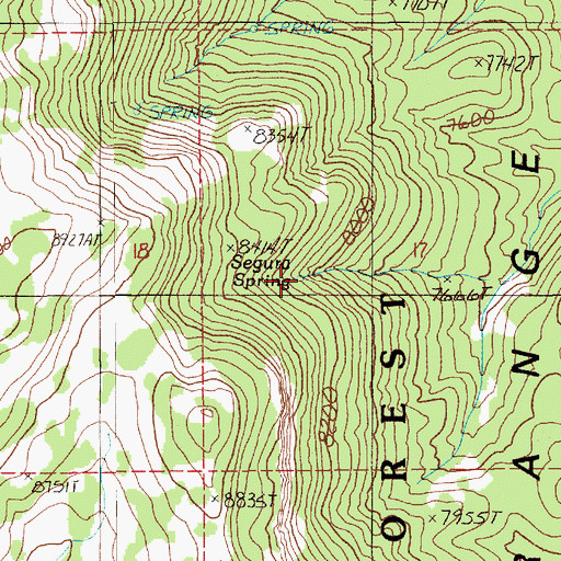 Topographic Map of Segura Spring, NV