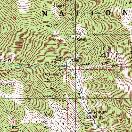 Topographic Map of Seligman Mine, NV