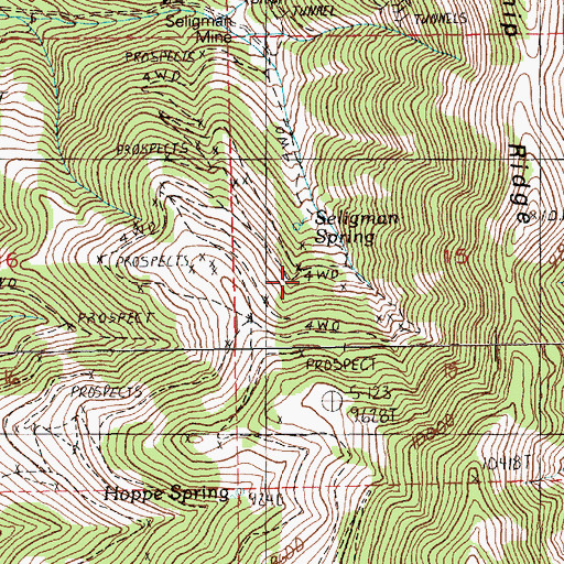 Topographic Map of Seligman Spring, NV