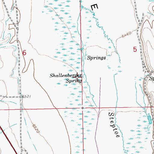 Topographic Map of Shallenberger Spring, NV