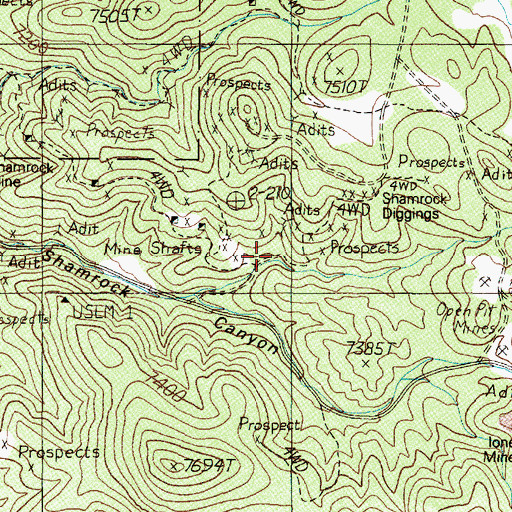 Topographic Map of Shamrock Diggings, NV