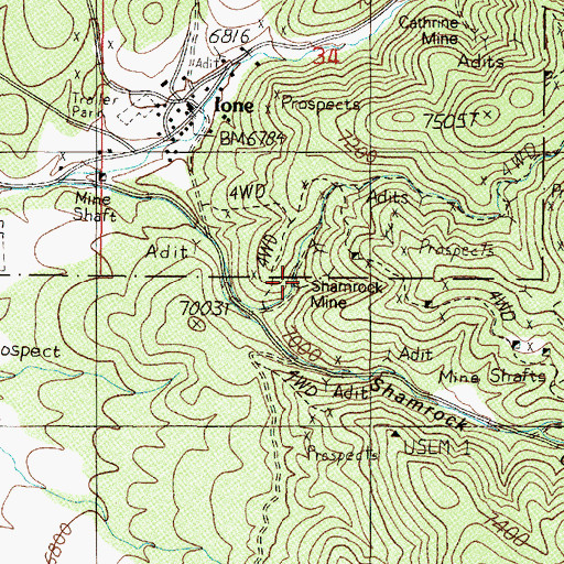 Topographic Map of Shamrock Mine, NV