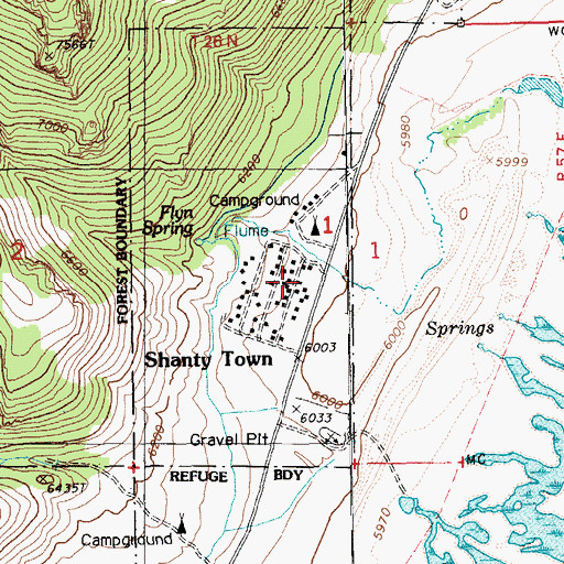 Topographic Map of Shanty Town, NV