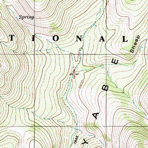 Topographic Map of Sheep Canyon, NV