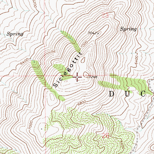 Topographic Map of Siciegottit, NV