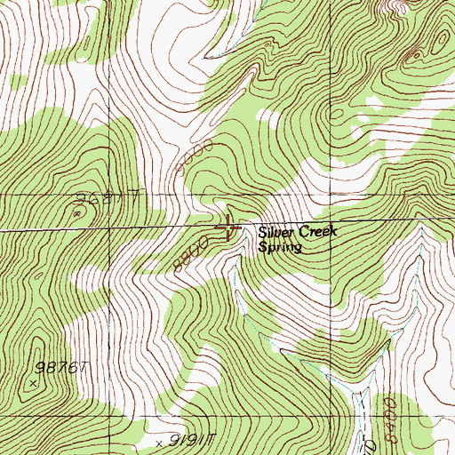 Topographic Map of Silver Creek Spring, NV