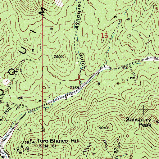 Topographic Map of Slaughterhouse Gulch, NV