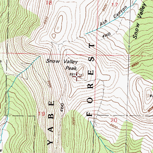 Topographic Map of Snow Valley Peak, NV