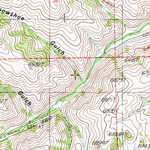 Topographic Map of Snowshoe Gulch, NV
