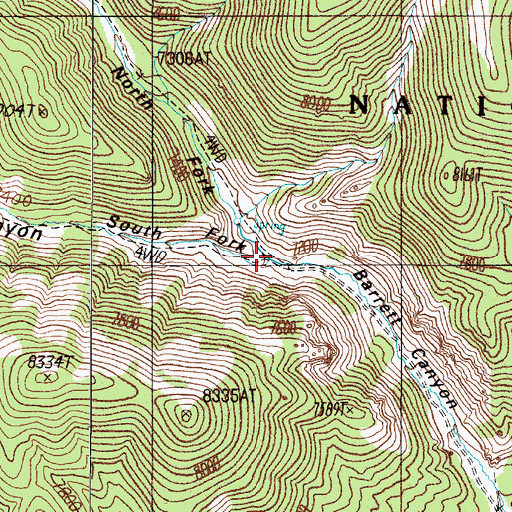 Topographic Map of South Fork Barrett Canyon, NV