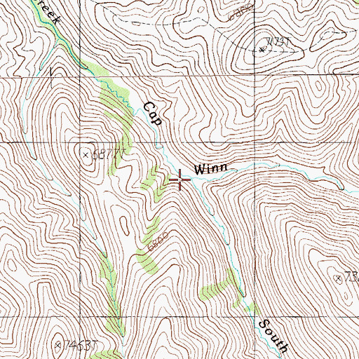 Topographic Map of South Fork Cap Winn Creek, NV