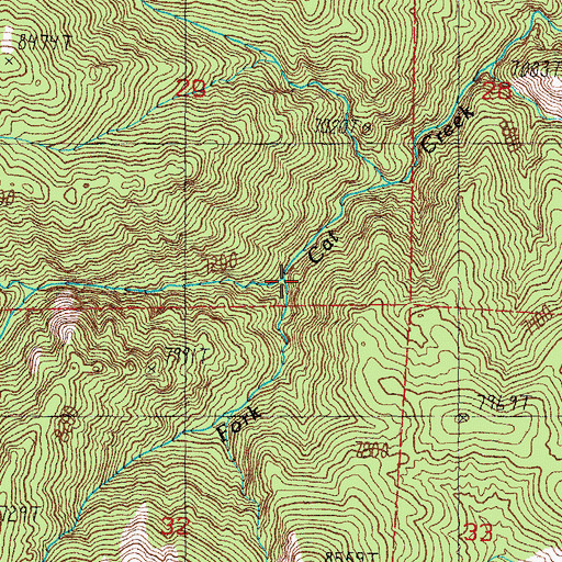 Topographic Map of South Fork Cat Creek, NV