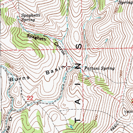 Topographic Map of Spaghetti Canyon, NV