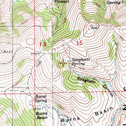 Topographic Map of Spaghetti Spring, NV