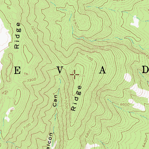 Topographic Map of Split Ridge, NV