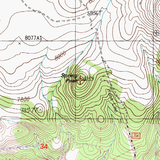 Topographic Map of Spring Peak, NV
