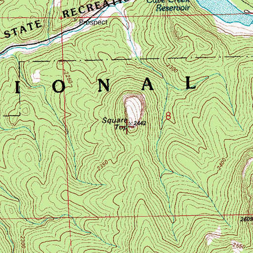 Topographic Map of Square Top, NV