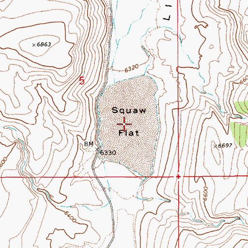 Topographic Map of Squaw Flat, NV