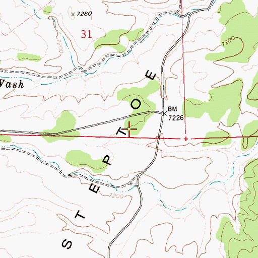 Topographic Map of Steptoe Valley, NV