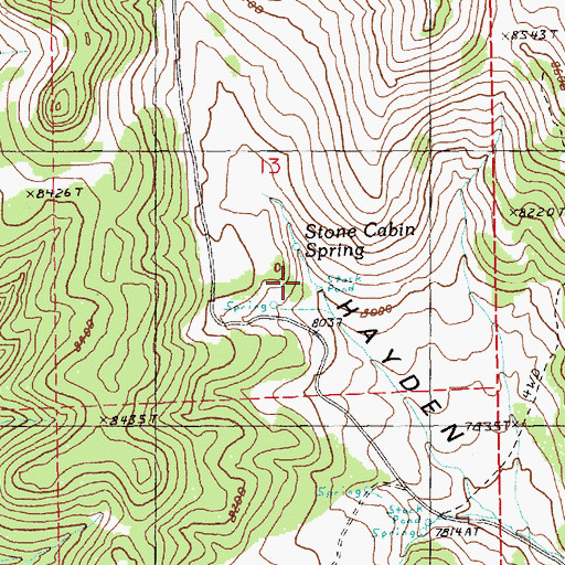 Topographic Map of Stone Cabin Spring, NV