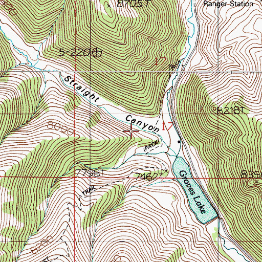 Topographic Map of Straight Canyon, NV