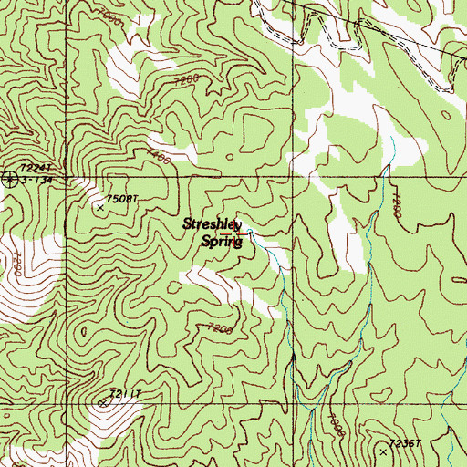 Topographic Map of Streshley Spring, NV