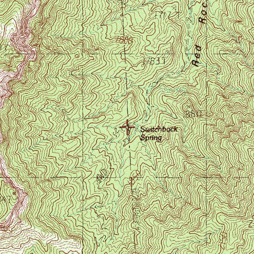 Topographic Map of Switchback Spring, NV