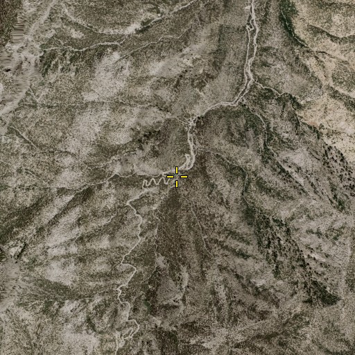 Aerial/Satellite Image of Switchback Spring, NV