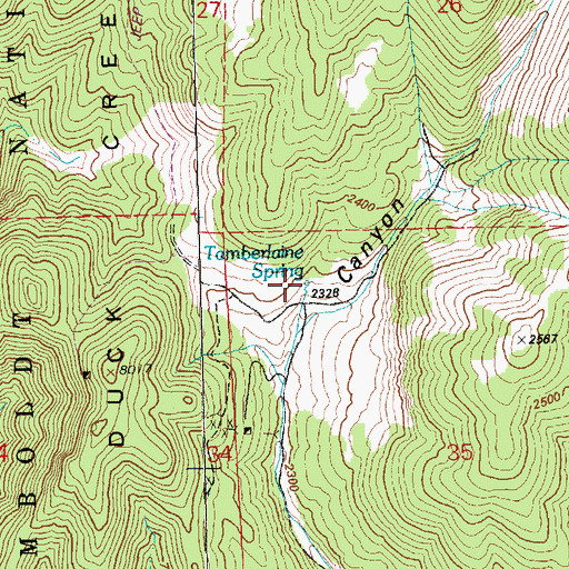 Topographic Map of Tamberlaine Spring, NV