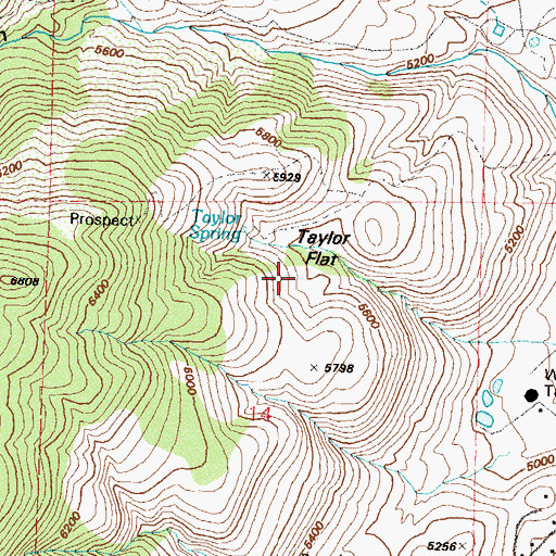 Topographic Map of Taylor Flat, NV