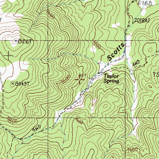 Topographic Map of Taylor Spring, NV