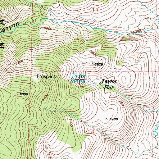 Topographic Map of Taylor Spring, NV