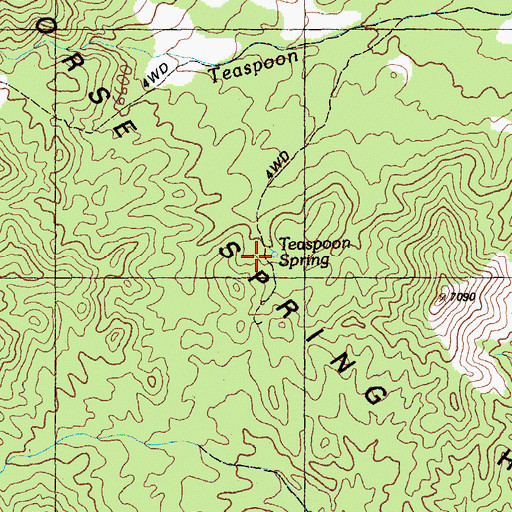Topographic Map of Teaspoon Spring, NV
