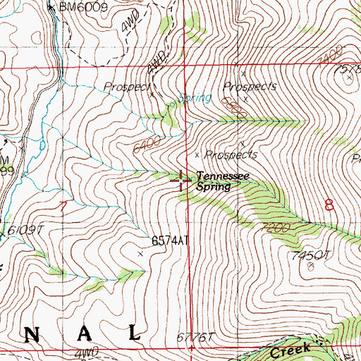 Topographic Map of Tennessee Spring, NV