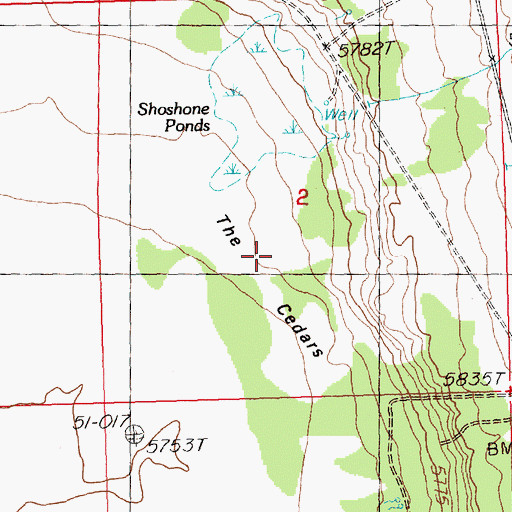 Topographic Map of The Cedars, NV