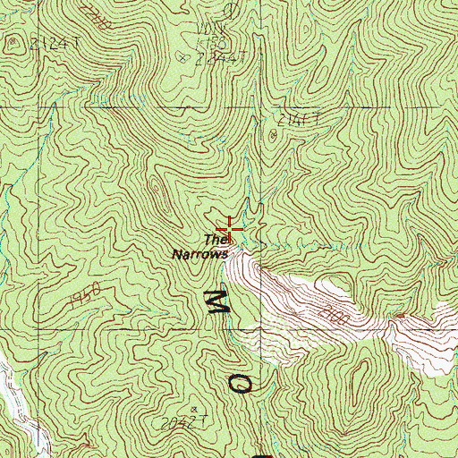 Topographic Map of The Narrows, NV