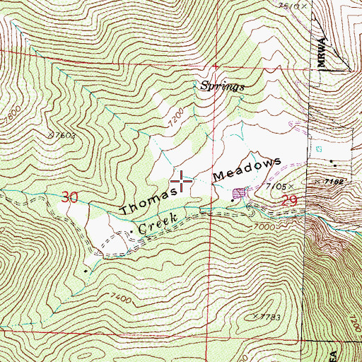 Topographic Map of Thomas Meadows, NV