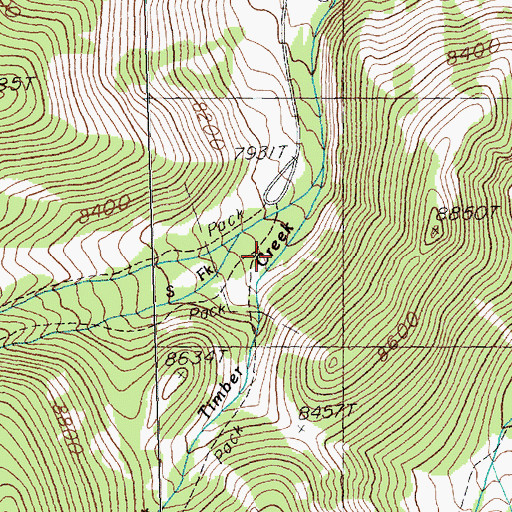 Topographic Map of Timber Creek, NV