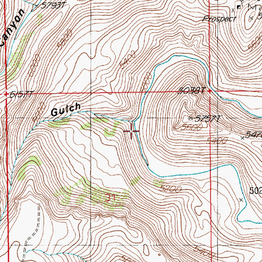 Topographic Map of Timber Gulch, NV