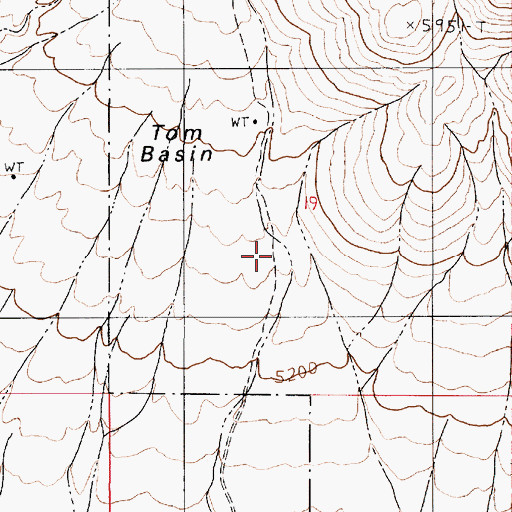 Topographic Map of Tom Basin, NV