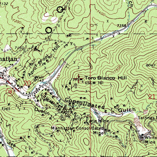 Topographic Map of Toro Blanco Hill, NV