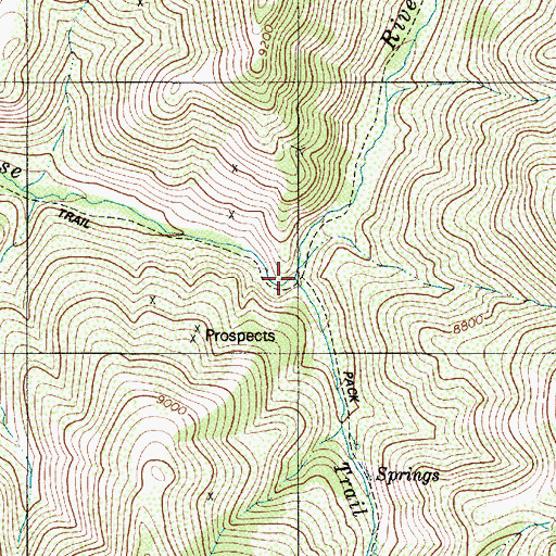 Topographic Map of Trail Creek, NV