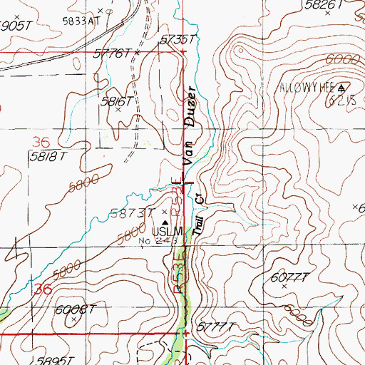Topographic Map of Trail Creek, NV